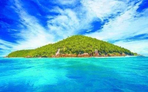 格斗巅峰大作战