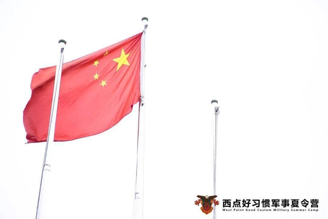 罗非罗非罗非鱼是什么歌游戏画面
